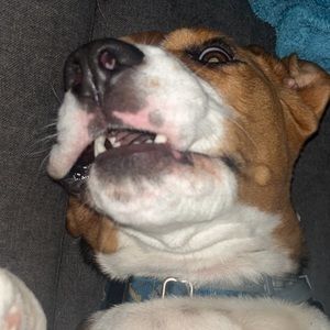 Meet your Posher, Breanna